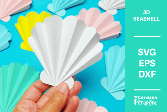 3D Seashell SVG Review